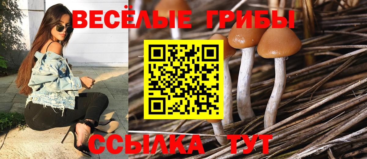Калуга  Псилоцибиновые грибы ЛСД  Вход с VPN  Галлюциногенные грибы Psilocybe 