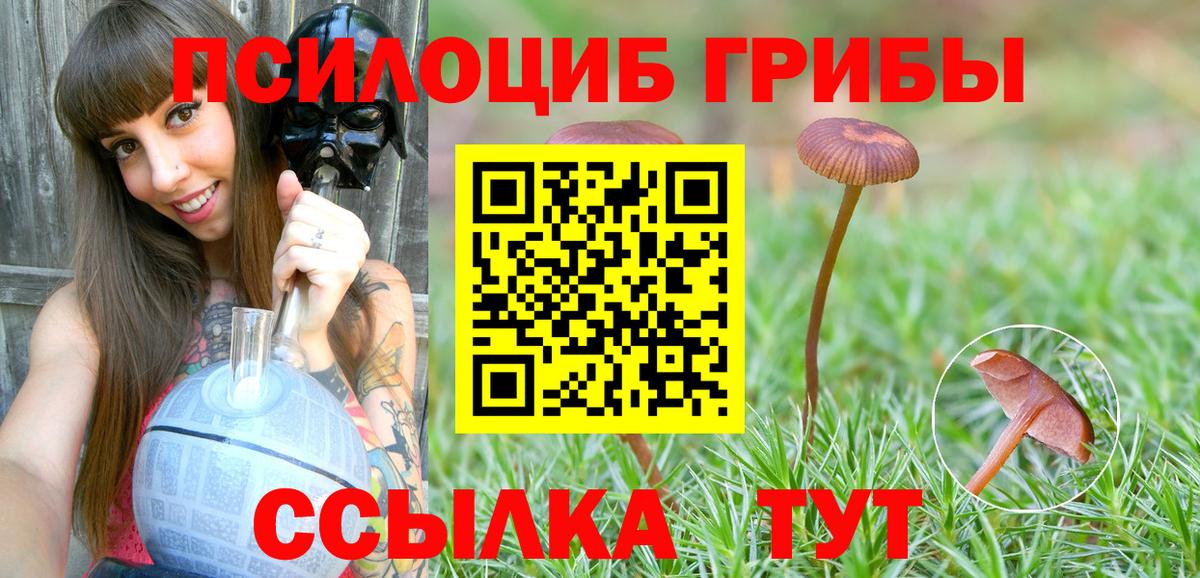 Псилоцибиновые грибы прущие грибы Калуга
